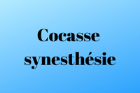 Cocasse synesthésie