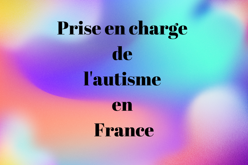 Prise en charge de l'autisme en France
