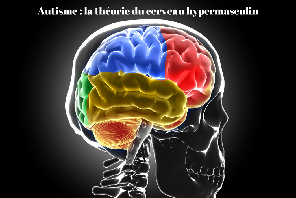 Autisme : la théorie du cerveau hypermasculin