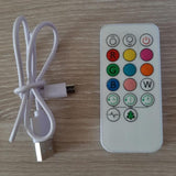 télécommande et câble USB pour veilleuse a LED